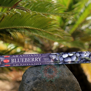 Blueberry Hem Çubuk Tütsü